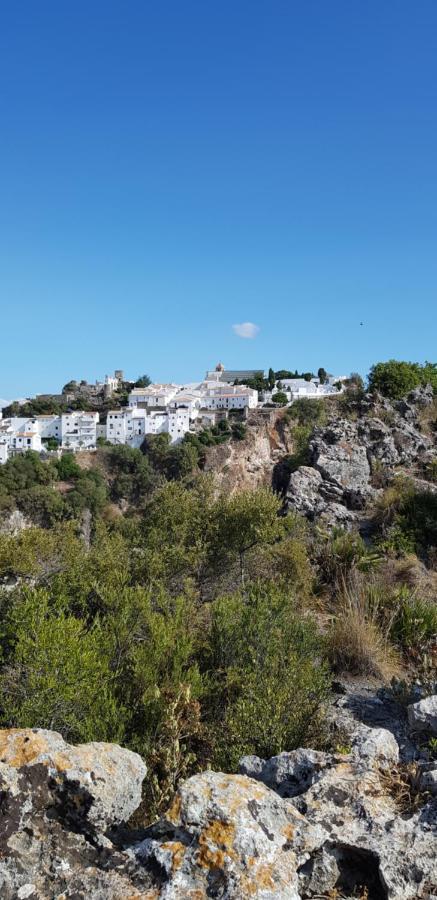 Puerto Estepona Luaran gambar